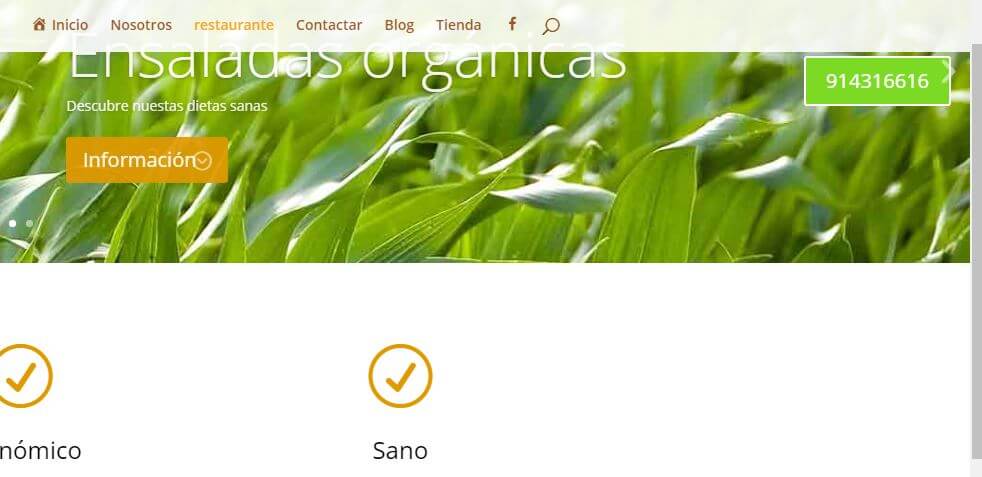 elementos fijos en divi