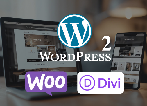 curso woocommerce y SEO con WordPress